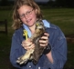 Buzzard
