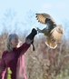 Sept 25th 2010 - Image DSC7208 - Taken during a Hawk & Owl Experience with Turner the Eagle Owl