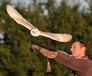 17th Oct 2010 - Image DSC7519 - Taken during an Owl Flying Experience with Luna the Barn Owl