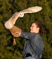 17th Oct 2010 - Image DSC7524 - Taken during an Owl Flying Experience with Luna the Barn Owl