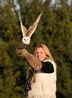 17th Oct 2010 - Image DSC7538 - Taken during an Owl Flying Experience with Luna the Barn Owl