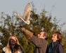 17th Oct 2010 - Image DSC7545 - Taken during an Owl Flying Experience with Luna the Barn Owl