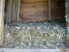 Layers of Owl Pellets in Nest Box