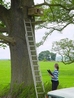 Monitoring Owl Boxes