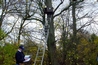 Nest Box Recording