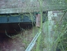 Tawny Owl Box