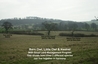 Project SIte