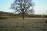 Nest Box Location