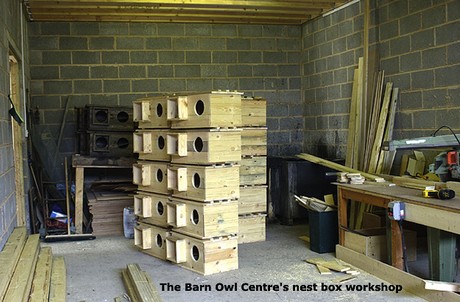 Our Nest Box Workshop