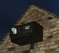 Barn Owl about to leave a nest box