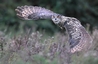 Take off