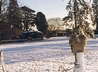 Elsie out in the snow