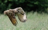 Kaln in Flight