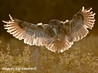 Kaln - Image taken by Guy Edwards ©