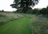 Spring 2008. How the paths are looking within 5 months