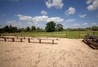 Spring 2008. Training area for our birds with seating