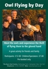 Owl Flying by Day Activity Poster
