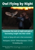 Owl Flying by Night Activity Poster