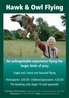 Hawk & Owl Activity Poster