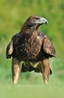 Image taken on Sat 9th May during some training