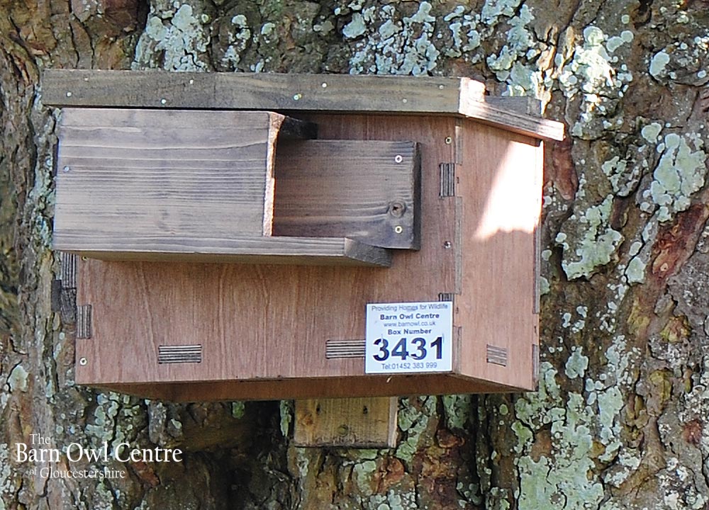 The Barn Owl Centre Little Owl Nest Box (Made from 18mm External Ply