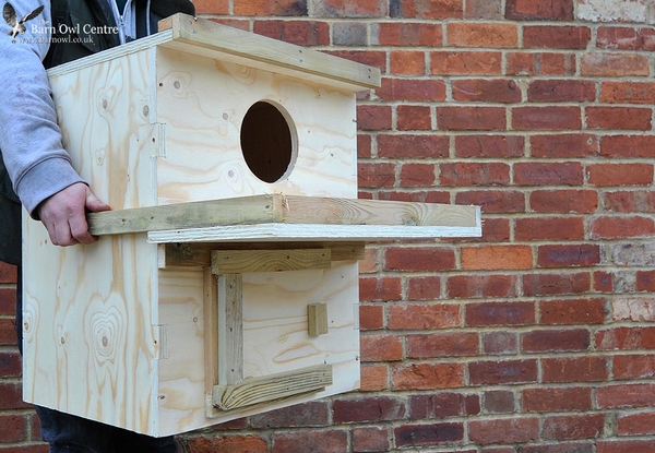 Indoor Barn Owl Nest Box (Made from 18mm Plywood) with inspection hatch