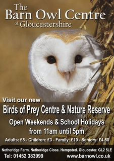 Can you help display this poster on a works notice board?