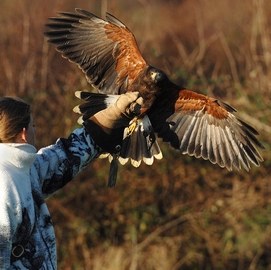 Bringing you closer to nature