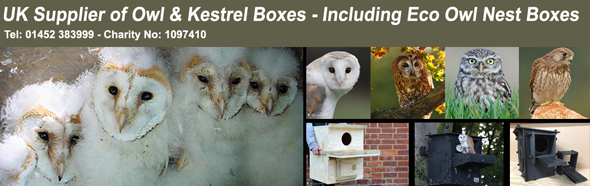 Barn Owl Test Banner