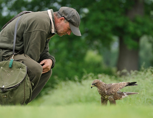 Vince having a quiet moment with Leighton, the Buzzard... Image taken by Edwin Kats, a photographer friend from the Netherlands