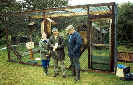 Release aviary to support rehabilitated wild casualties